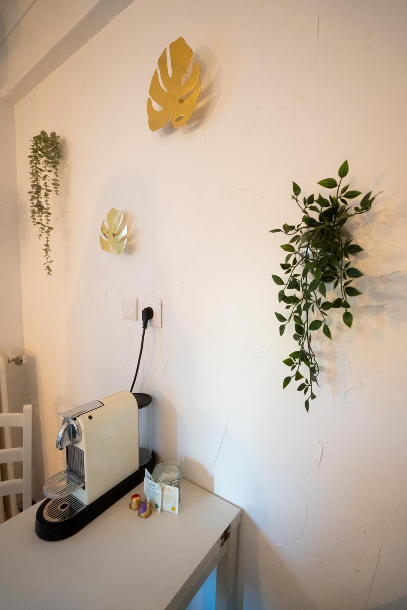 Location Studio Avec Loggia Apartman Antibes Kültér fotó